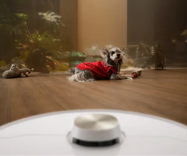 Pronalaženje kućnih ljubimaca